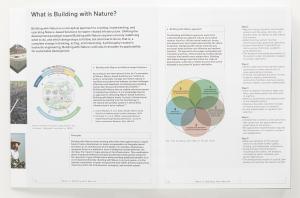 Building with Nature e-book